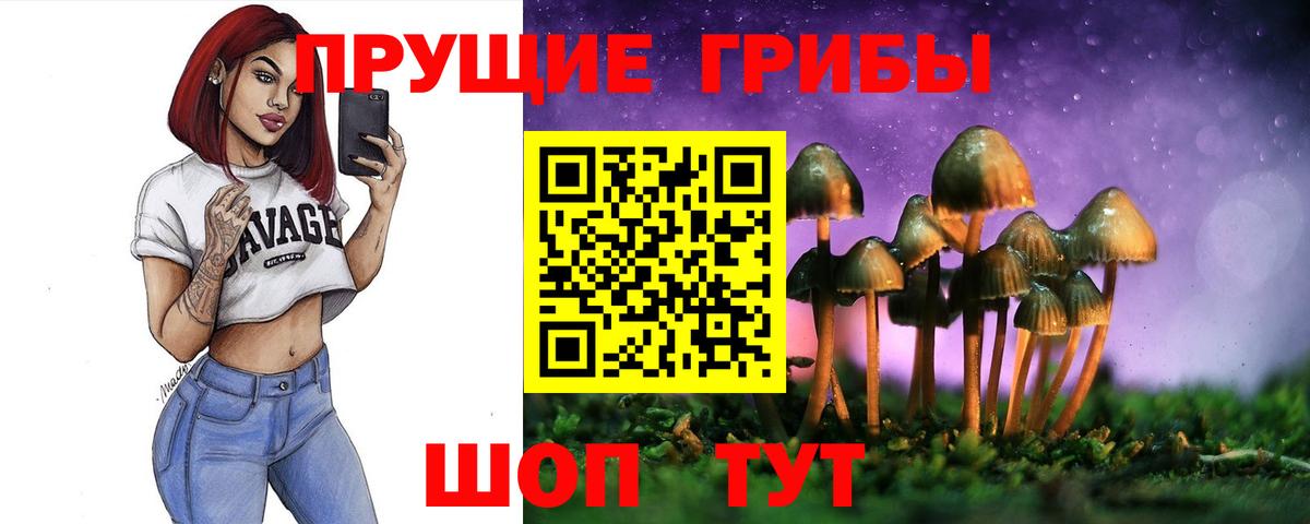 Галлюциногенные грибы Psilocybine cubensis  Вход с VPN  Усть-Илимск 